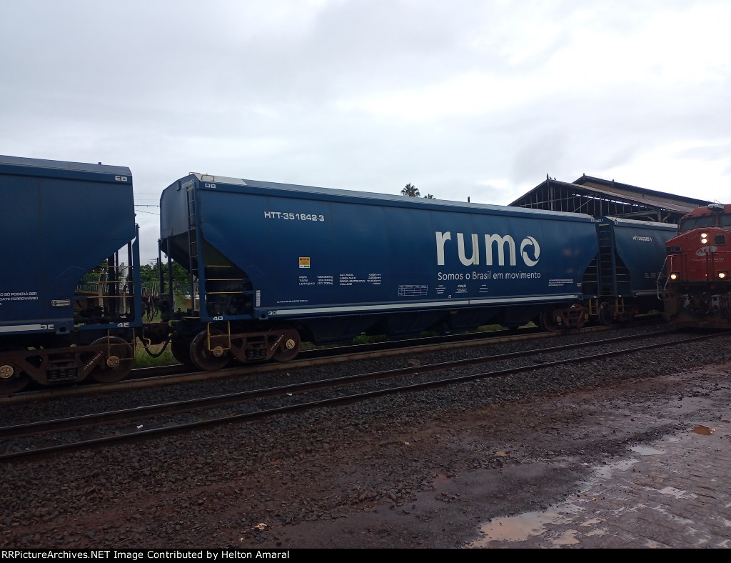 RUMO HTT-351642-3